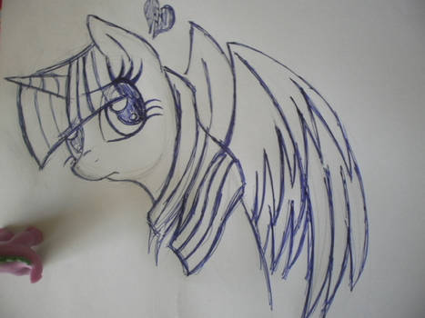 Im a Twilicorn.Do you like me?