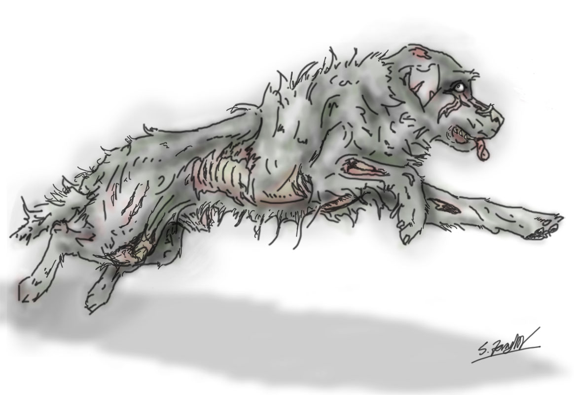 Dog Zombie