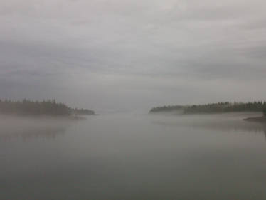 Masset Fog