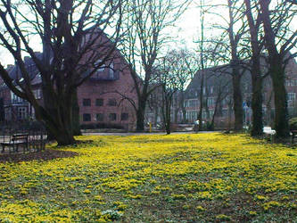 Spring in Emden