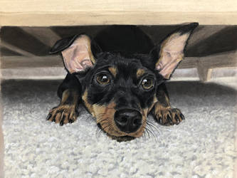 Under the Bed