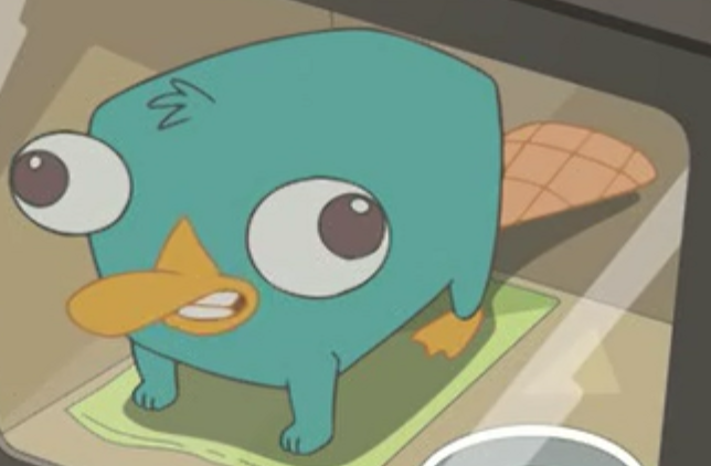 Perry bebe