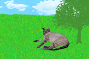 Nermal in a landscape