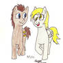 Doctor Whooves+Derpy Walking