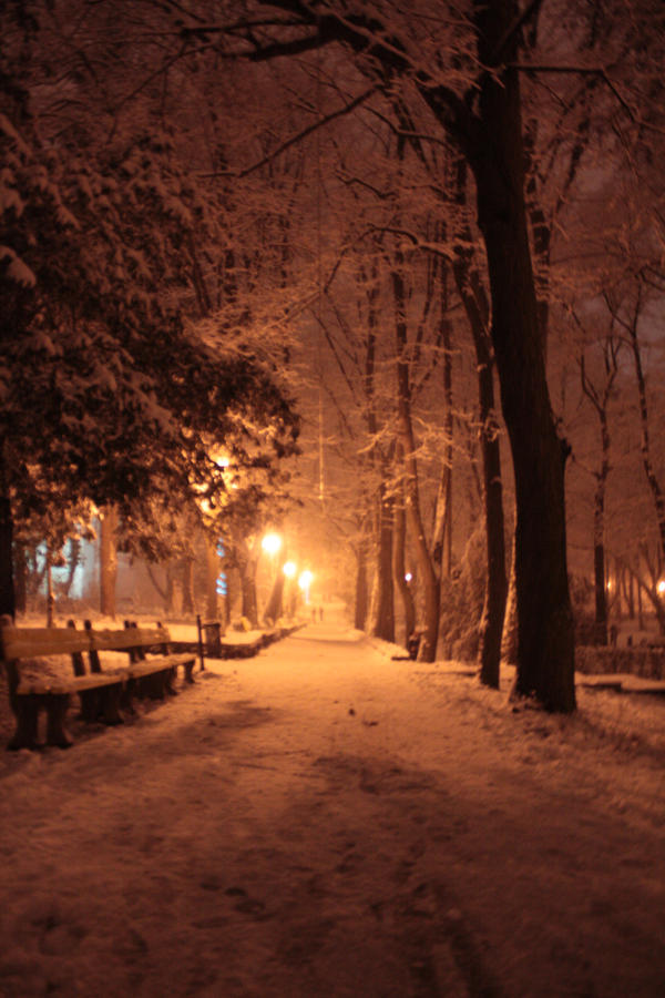 First Day Of Snow 2025