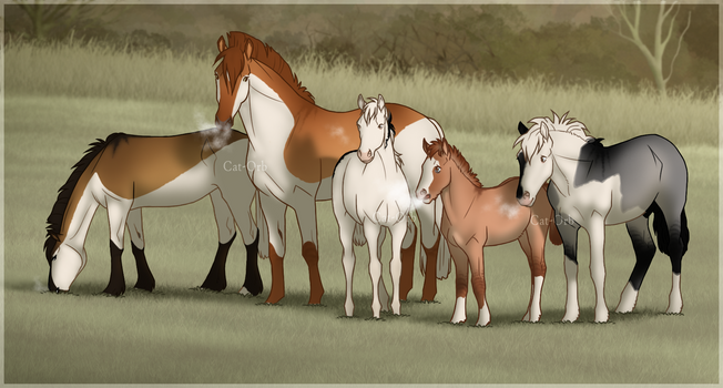 Explore The Best Aurumionhorse Art Deviantart Explore The Best Aurumionhorse Art Deviantart