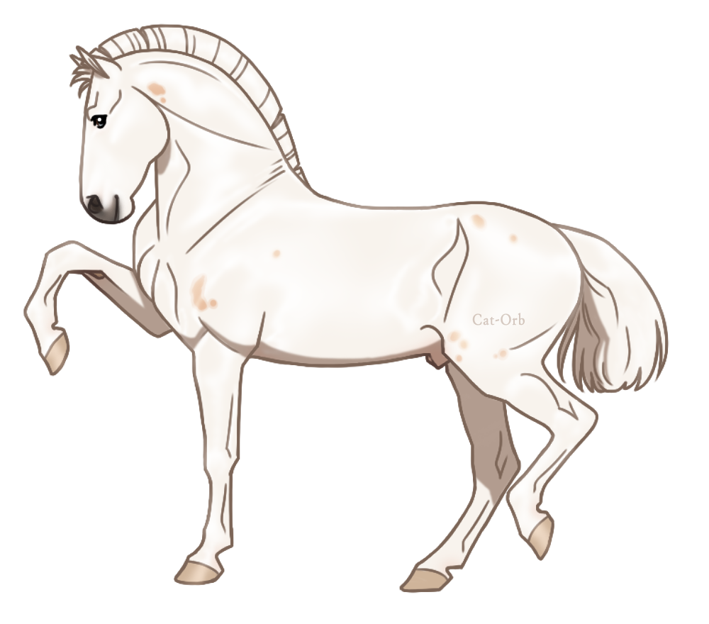 Drake Stallion F125 Ref