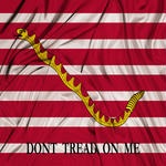 U.S. 1st Naval Jack thumbnail