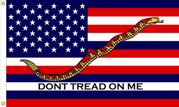 U.S. 50 star Serapis DONT TREAD ON ME  flag