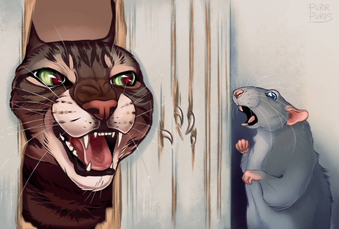 Johnny Razor Cat Here's Johnny! by PurrPuris on DeviantArt