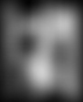 Private Investigations