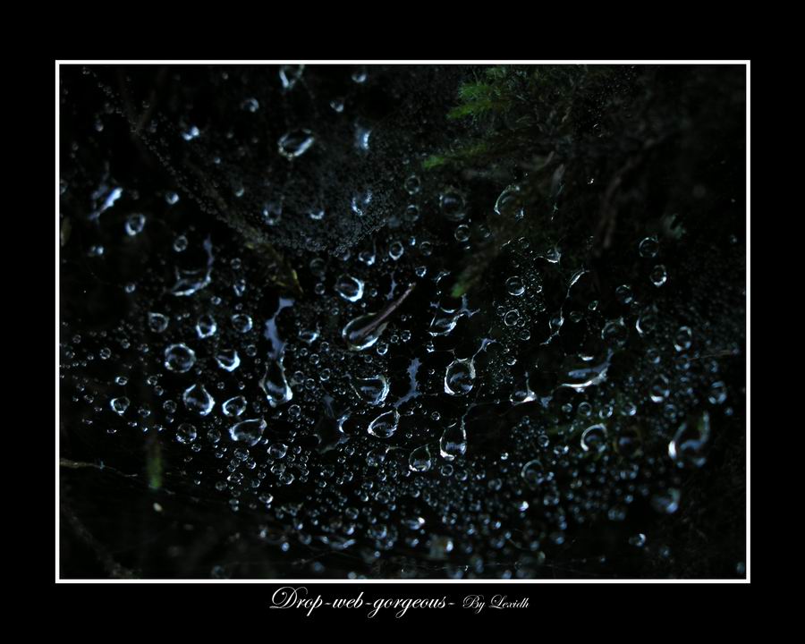 Drop-web-gorgeous