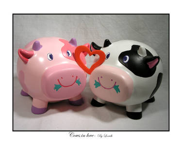 Cows in love