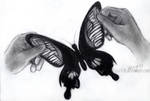 A Pair of Wings for me by starichi