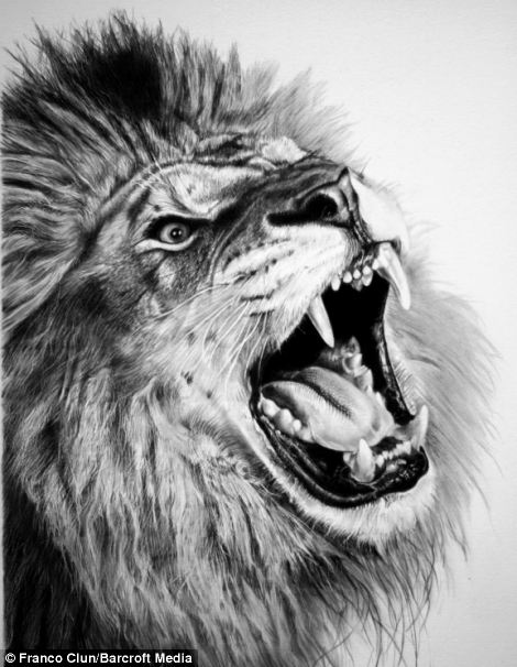 Roaring Lioness