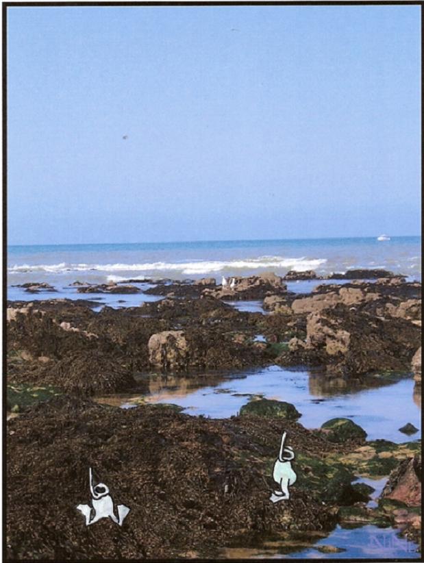 Babascope - 14 by ForumFrancophone