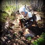 Gathering Herbs