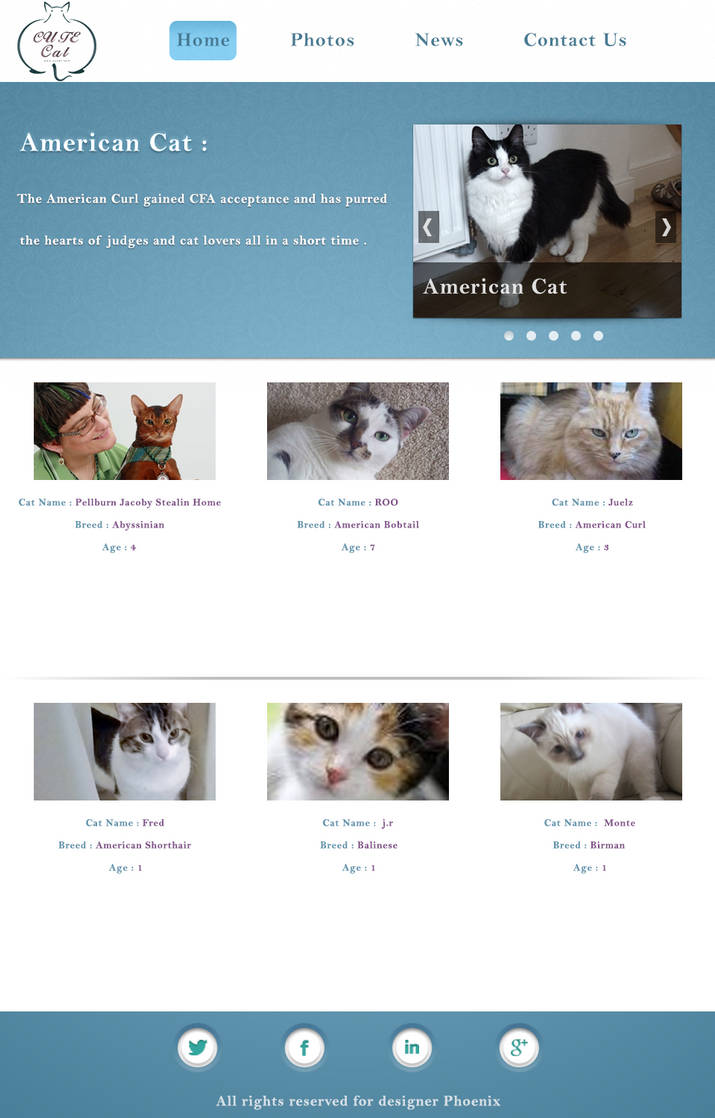 Html Simple Design Web Blog Cat Cute Cat website page by DESIGNERPhoenix on DeviantArt