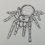 Practice: Tarantula