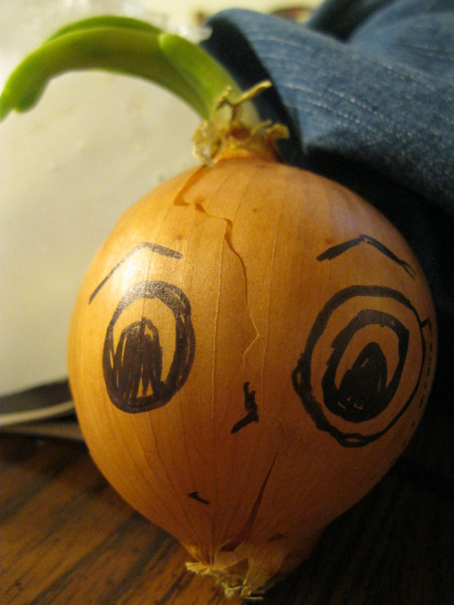 Mr. Onion Head by RoronoaKAtie on DeviantArt