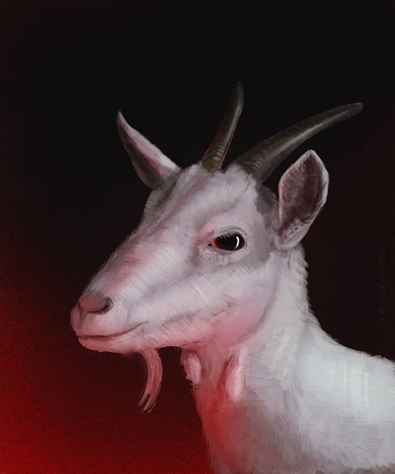 Deviantart Grumpy Goat The Goat by primepalindrome on DeviantArt