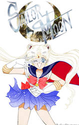 Sailor Moon The Movie Poster Manga Style