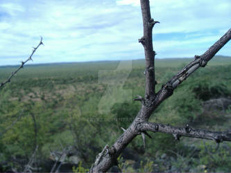 Afrika: Mountain View