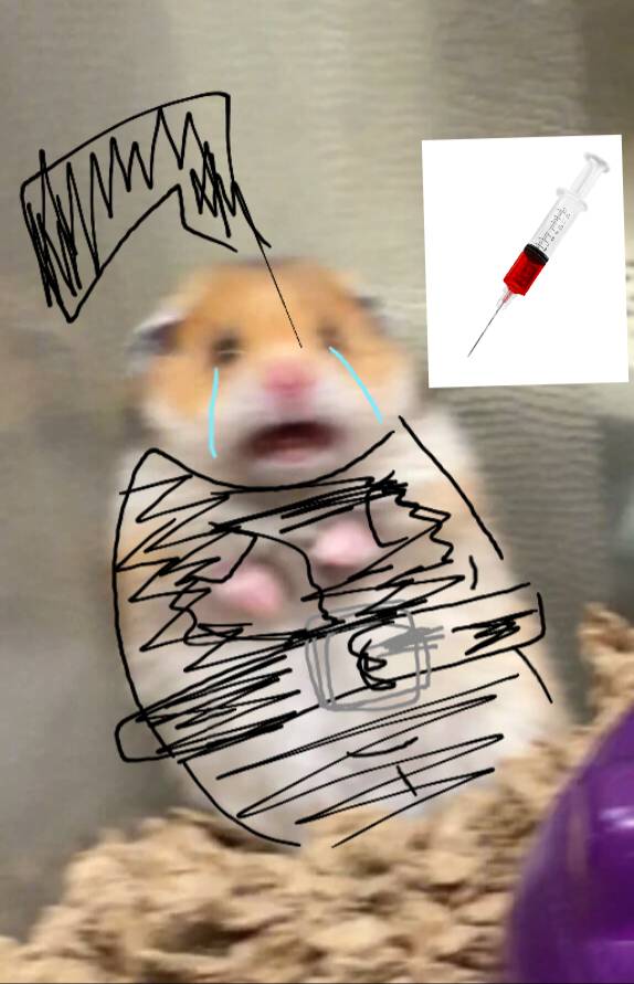 Screaming Hamster Meme Neverhood Oc By Annabelleleestudios0 On Deviantart Screaming Hamster Meme Neverhood Oc By Annabelleleestudios0 On Deviantart