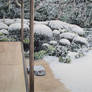 117. A Zen Garden in Winter