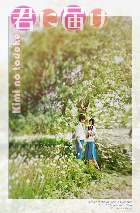 Kimi no Todoke - photo-manga