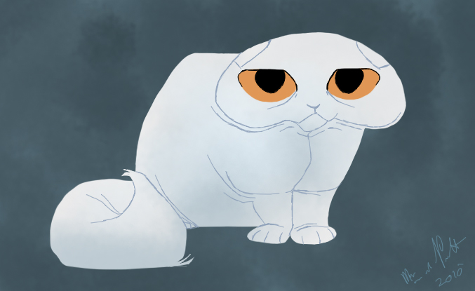 Scottish Fold