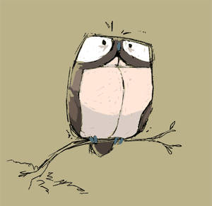 Warm Up - Owl