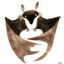 Fruit bat sketch