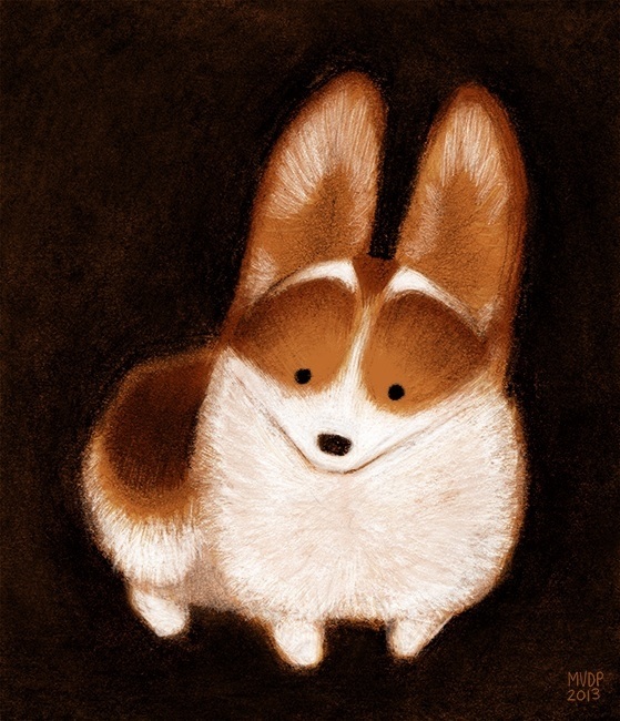 Corgi Pup