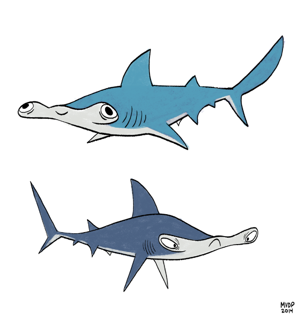 Hammerheads