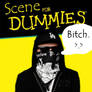 I call it Scene For Dummies