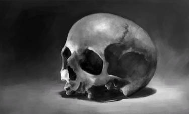 Skull study