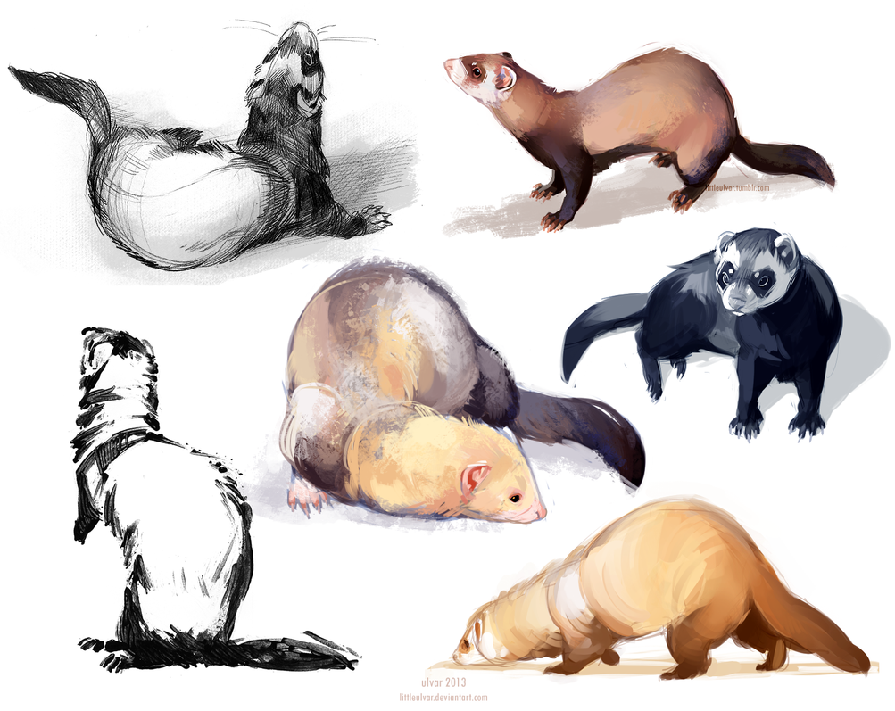 Соболь референсы