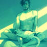 windowlights