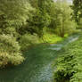 My river downstream