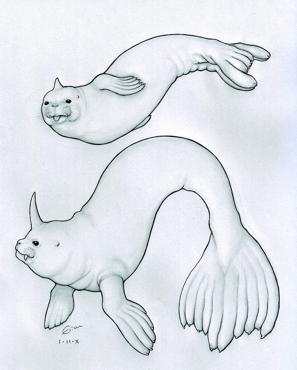 Seel and Dewgong