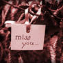 Wehmut -miss you-