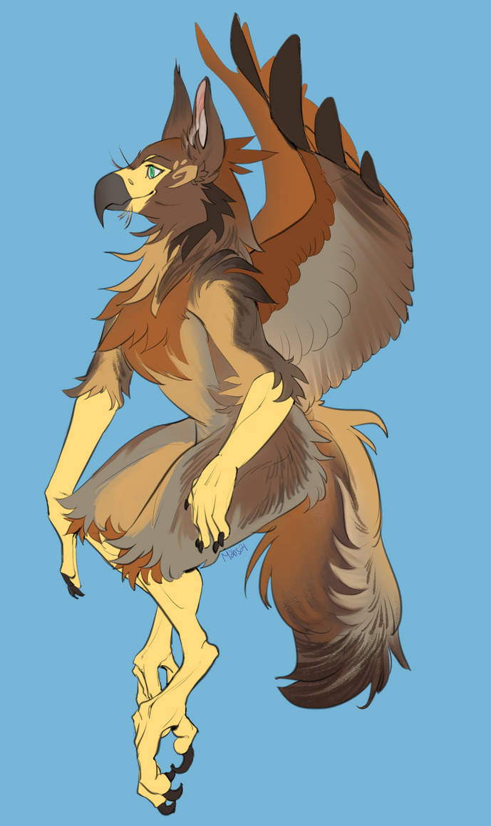 Bird Evolution Deviantart Vintage by birdteeth on DeviantArt
