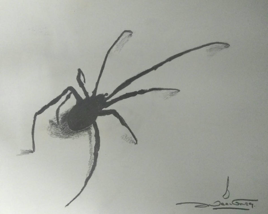 Deviantart Spider Spider by Nedwalls on DeviantArt