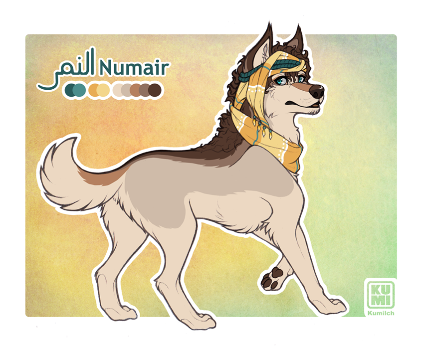 Numair Ref Sheet (old) by Kumilch on DeviantArt