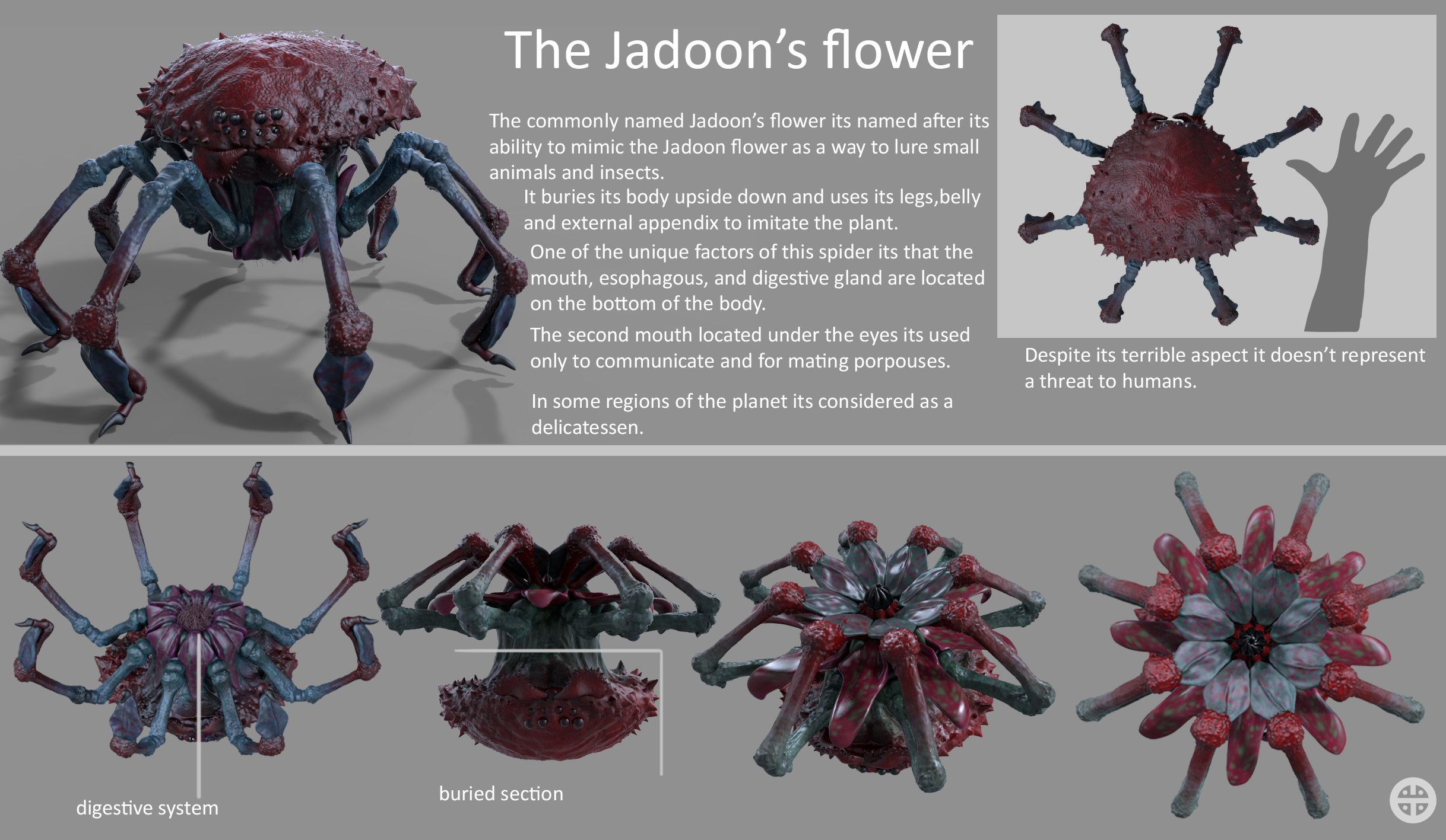 Jadoon's Flower