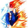 Shoto Todoroki / My Hero Academia