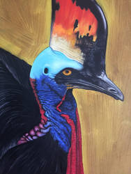 Cassowary