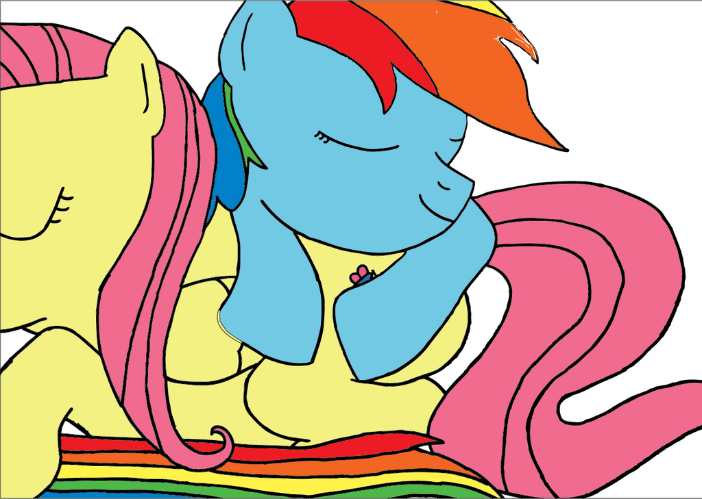 Fluttershy Rainbow Dash MLP FIM