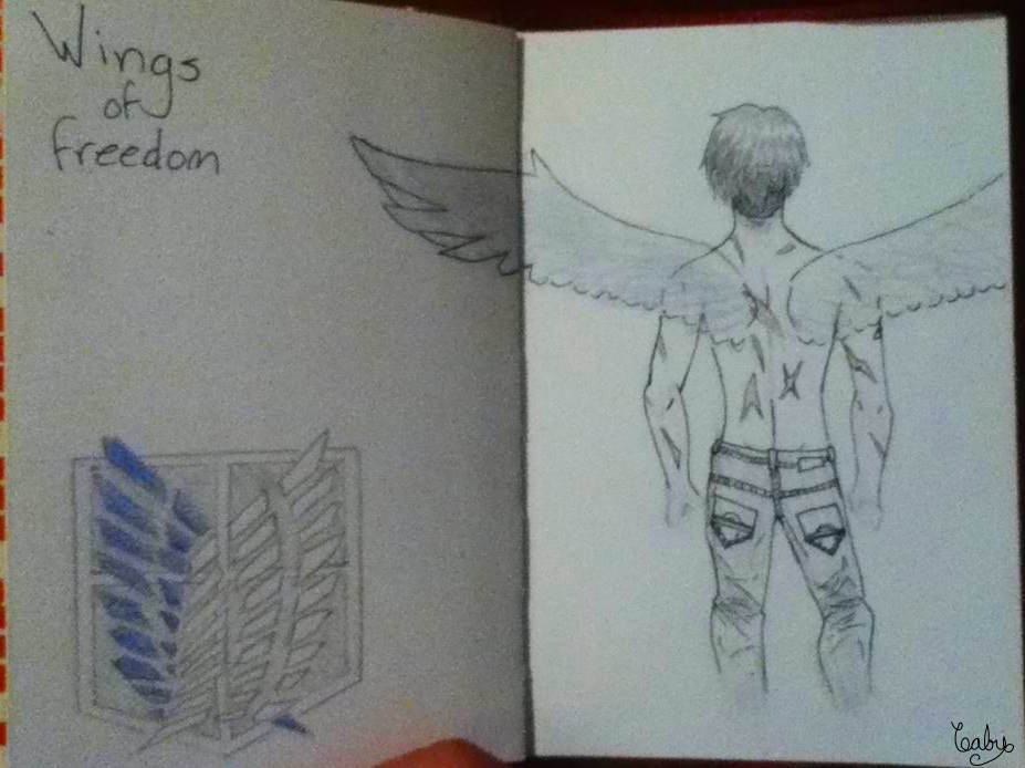 Levi wings of freedom